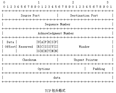 TCP报文头格式